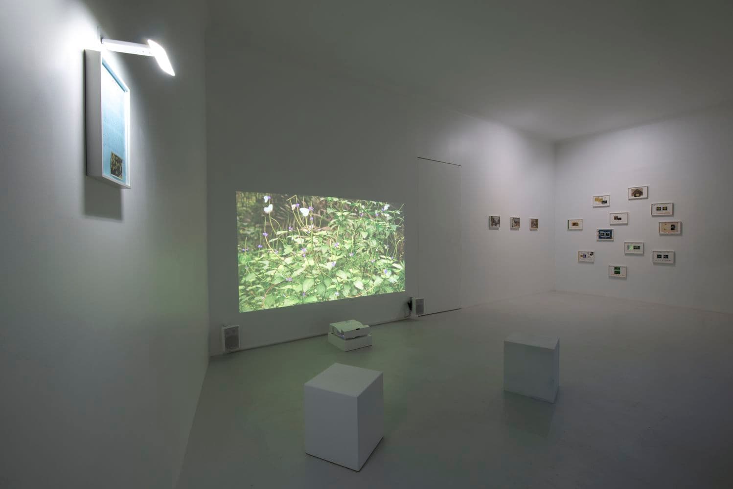 Daniel Blaufuks — Avant-Gardens (Part II): Jardim Cinema — image 1 of 6
