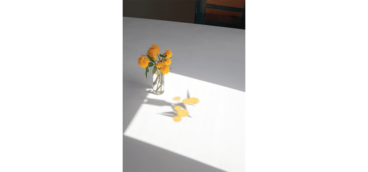 Liddy Scheffknecht — Now