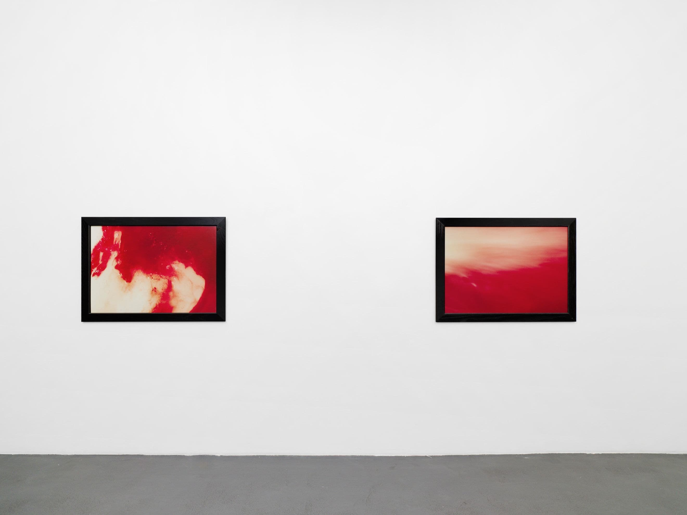 Andres Serrano — A Personal Mythology Immersions and Bodily Fluids — image 6 of 8