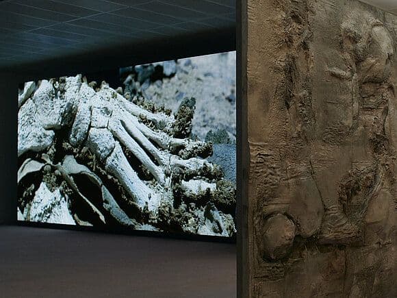 Pierre Huyghe — Pierre Huyghe — image 3 of 5