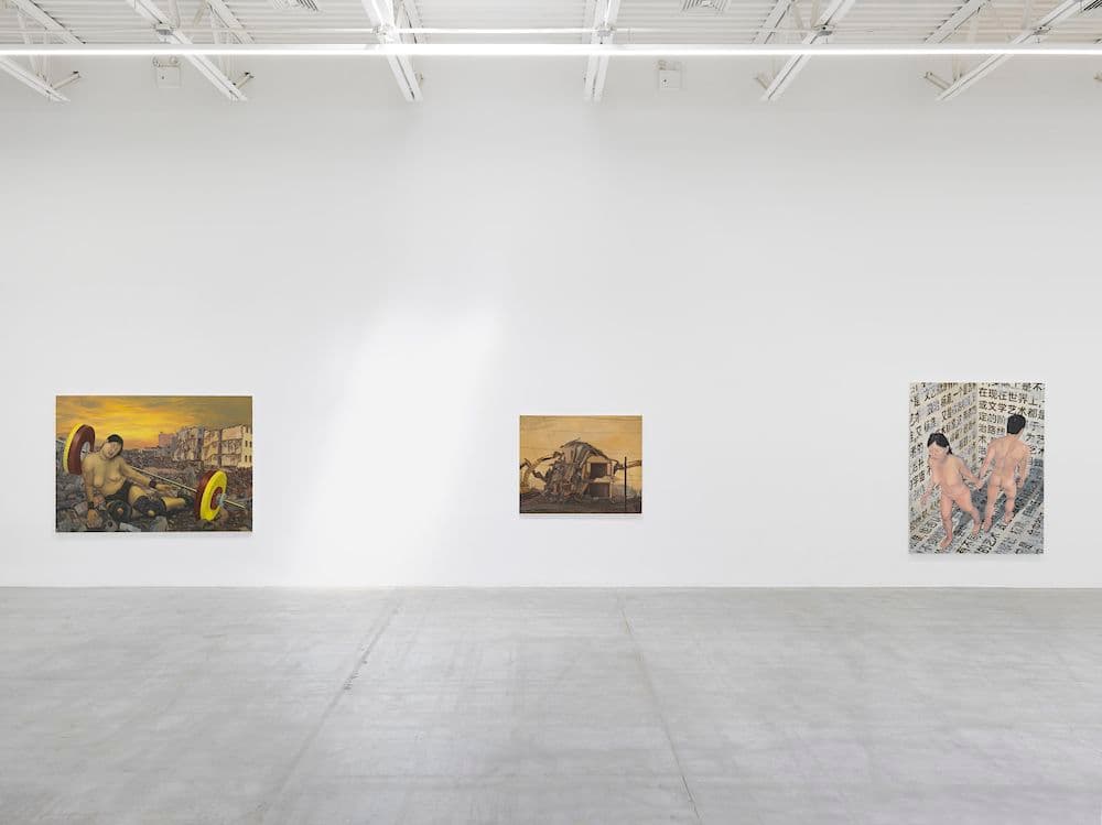 Amanda Ba — Developing Desire — image 2 of 8