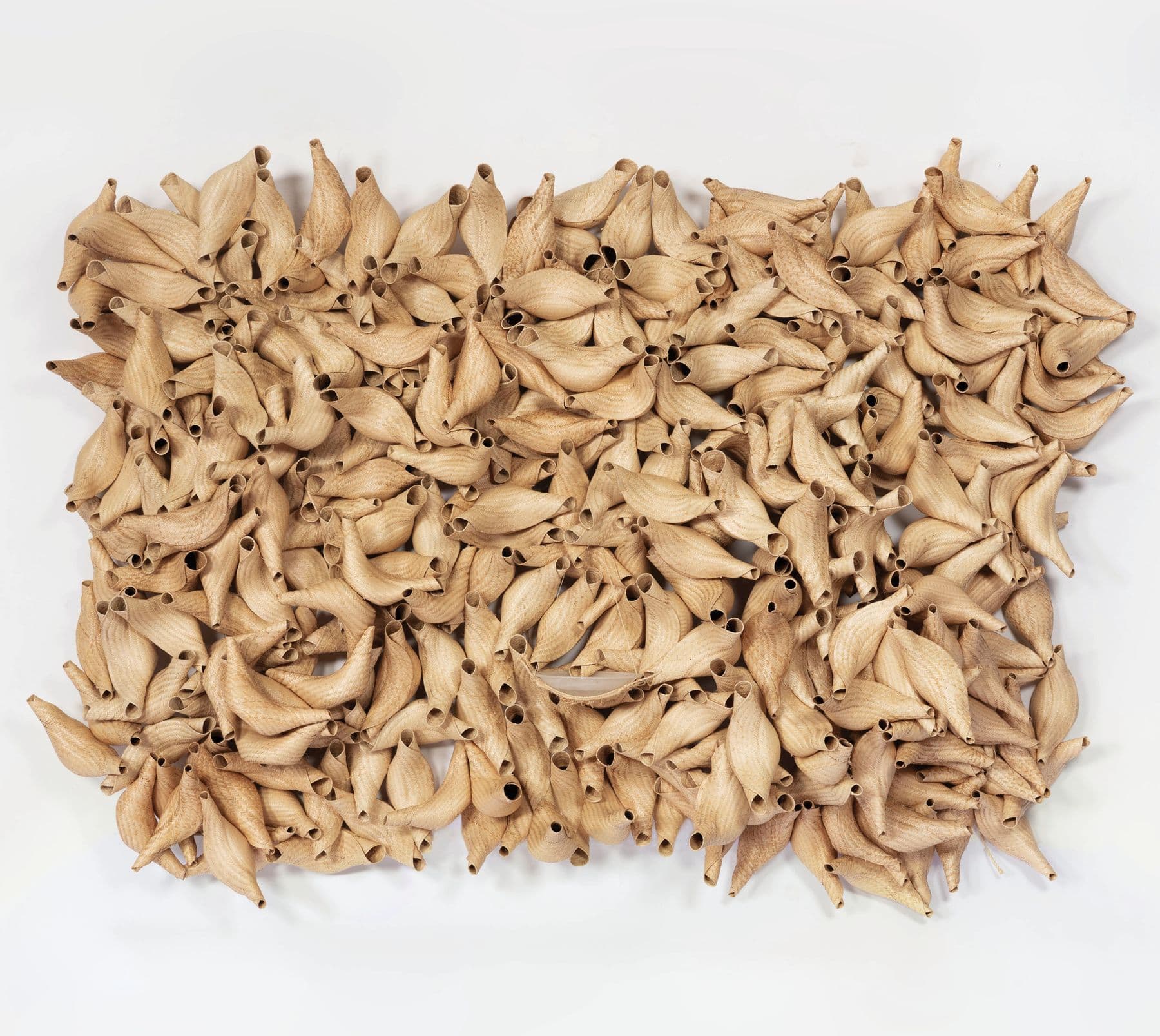 Laura Lima — Communal Nests for Windows, Balconies, Verandas, Gardens, and Forests