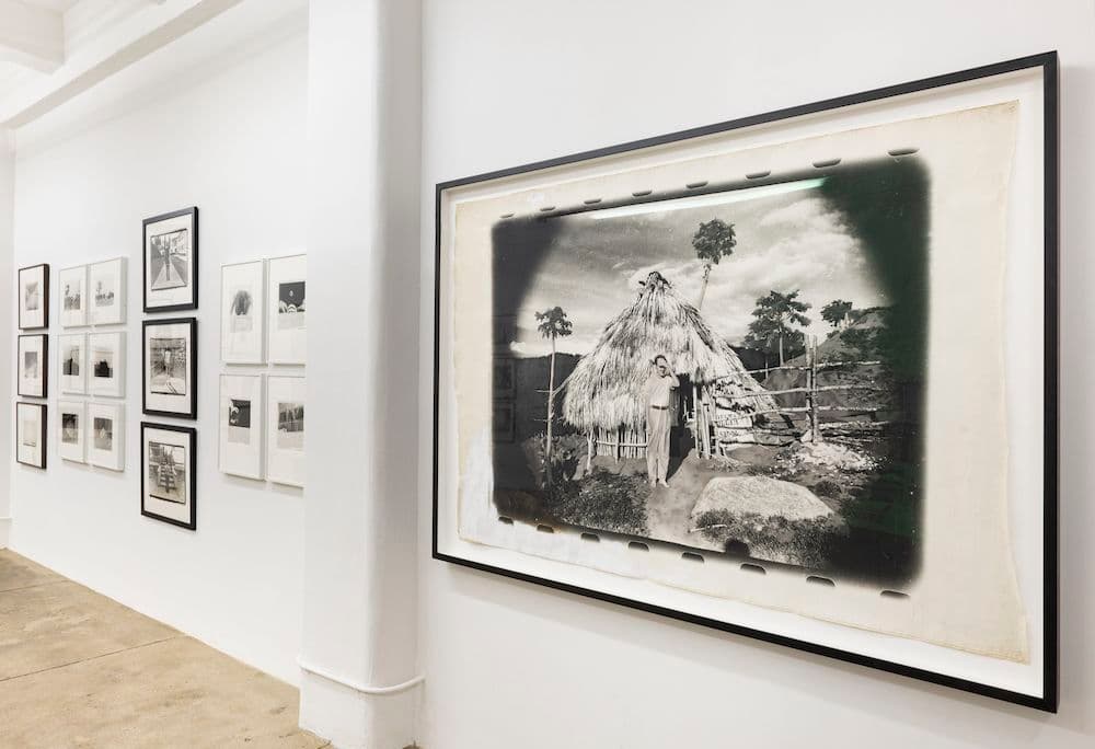 Marcia Resnick — Ahead of Her Time — image 4 of 6