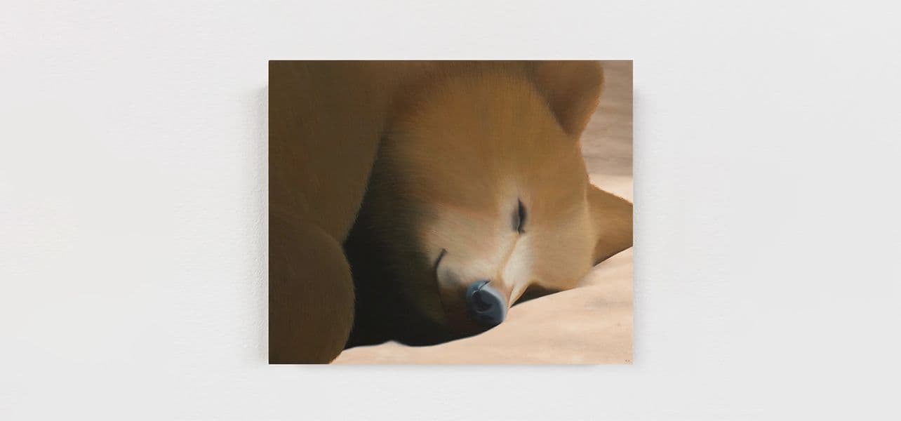 Rodrigo Hernandez — What Else Did I See?