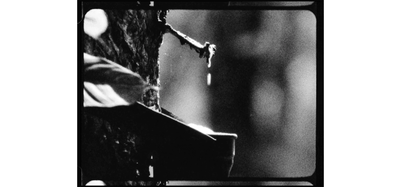 Adrián Balseca — Routing Rubber