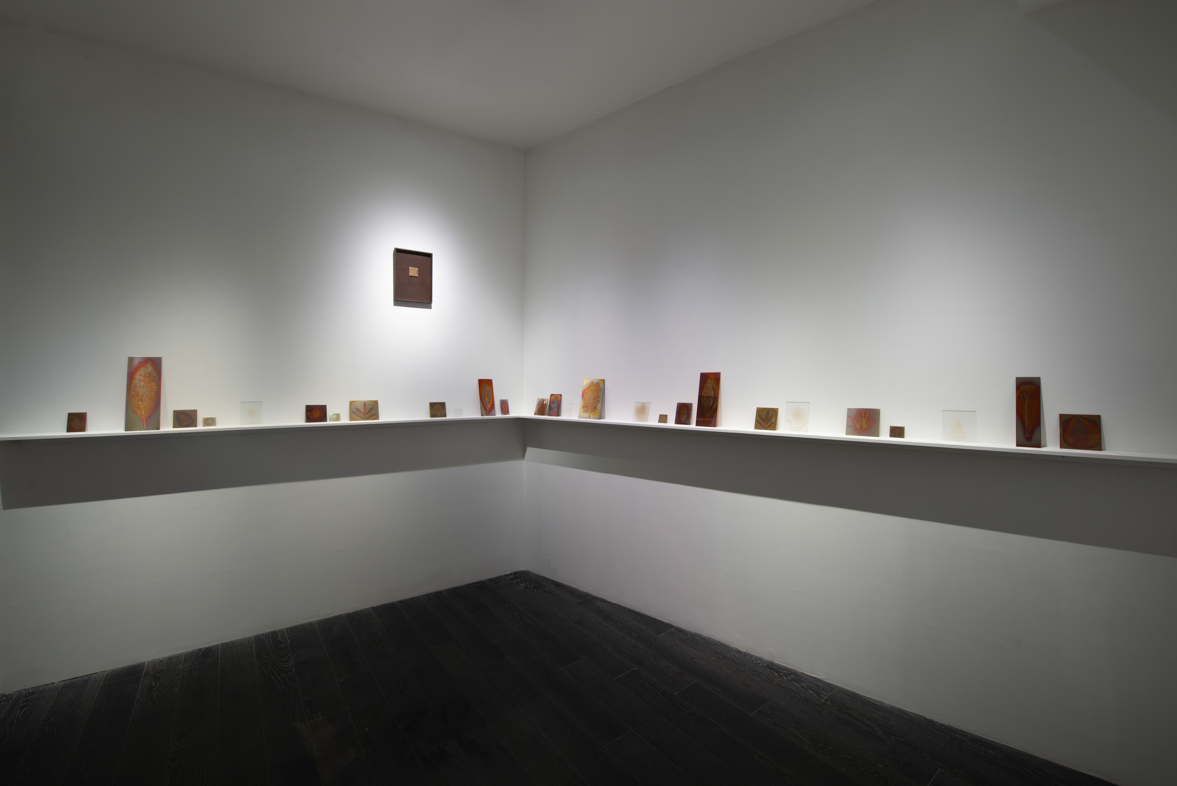 Hanako Murakami — Avant-Gardens (Part III): Sufficiently Near — image 1 of 7