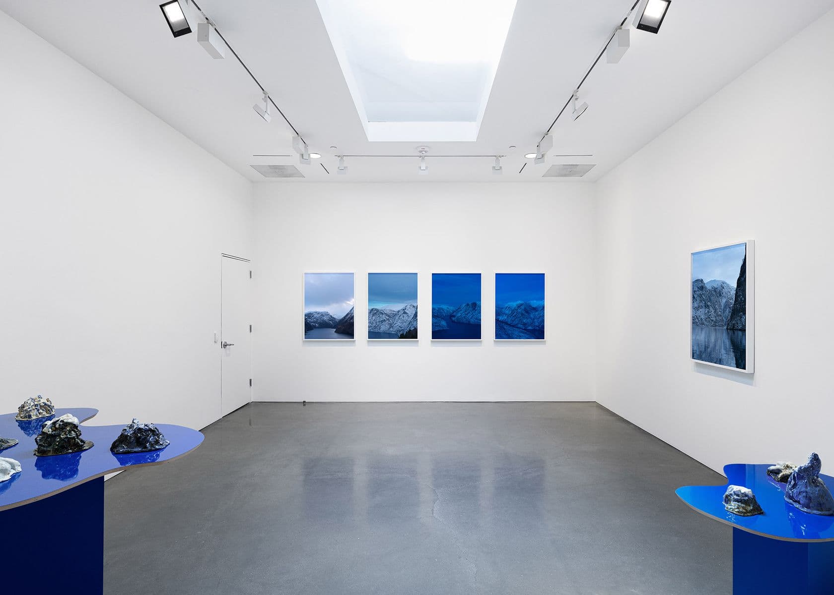 Catherine Opie — Holding Blue — image 9 of 10
