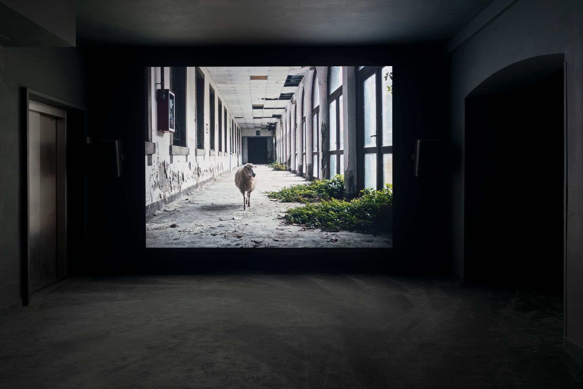 Group Exhibition — Nebula — image 7 of 8