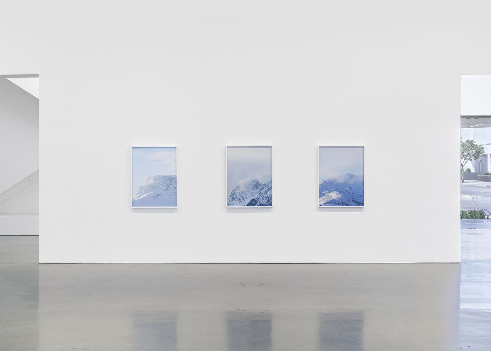 Catherine Opie — Holding Blue — image 6 of 8