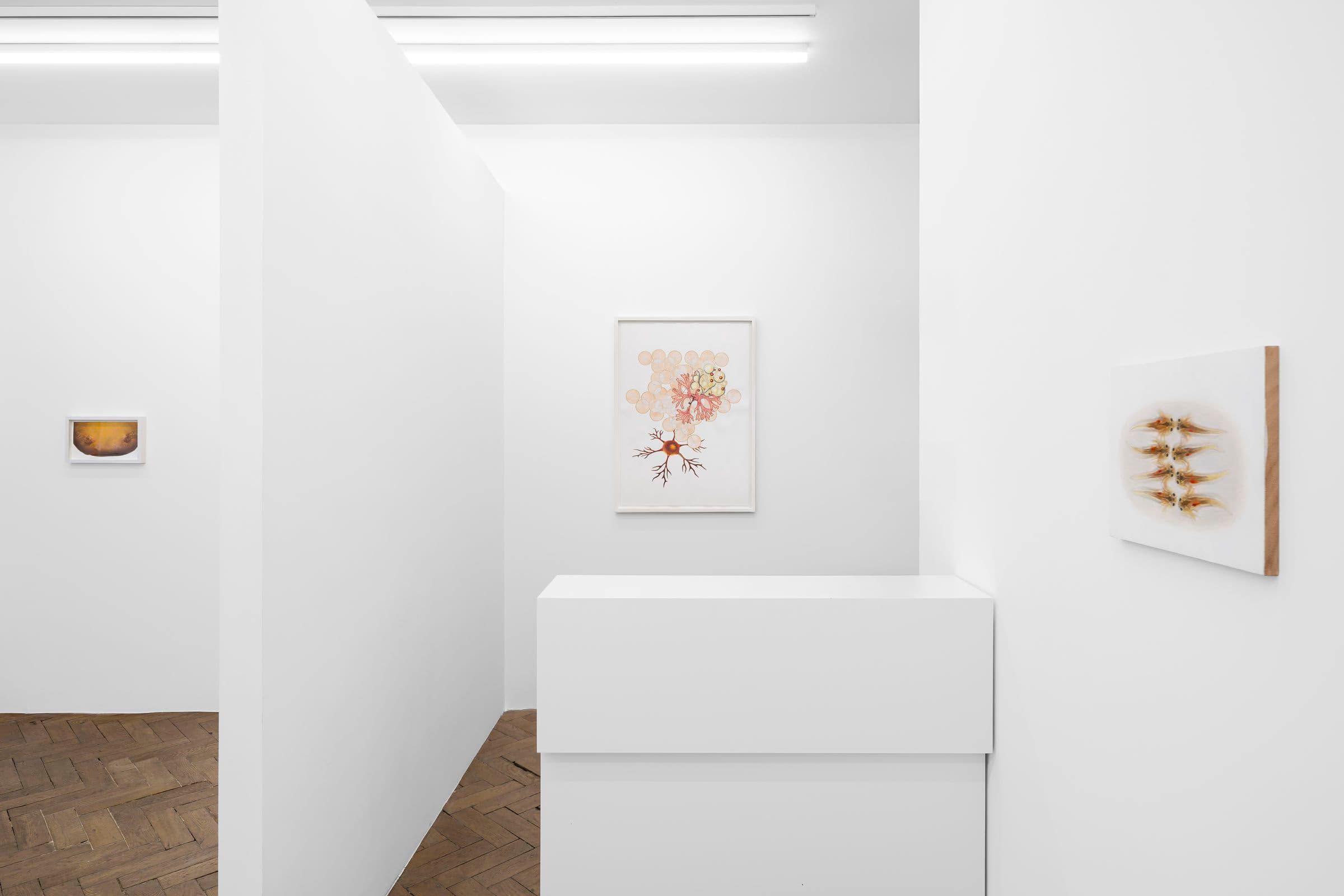 Melanie Smith — An Age of Liberty When the World Had Been Possible — image 5 of 9