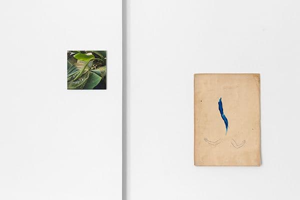Dani Soter — Dani Soter — image 6 of 8