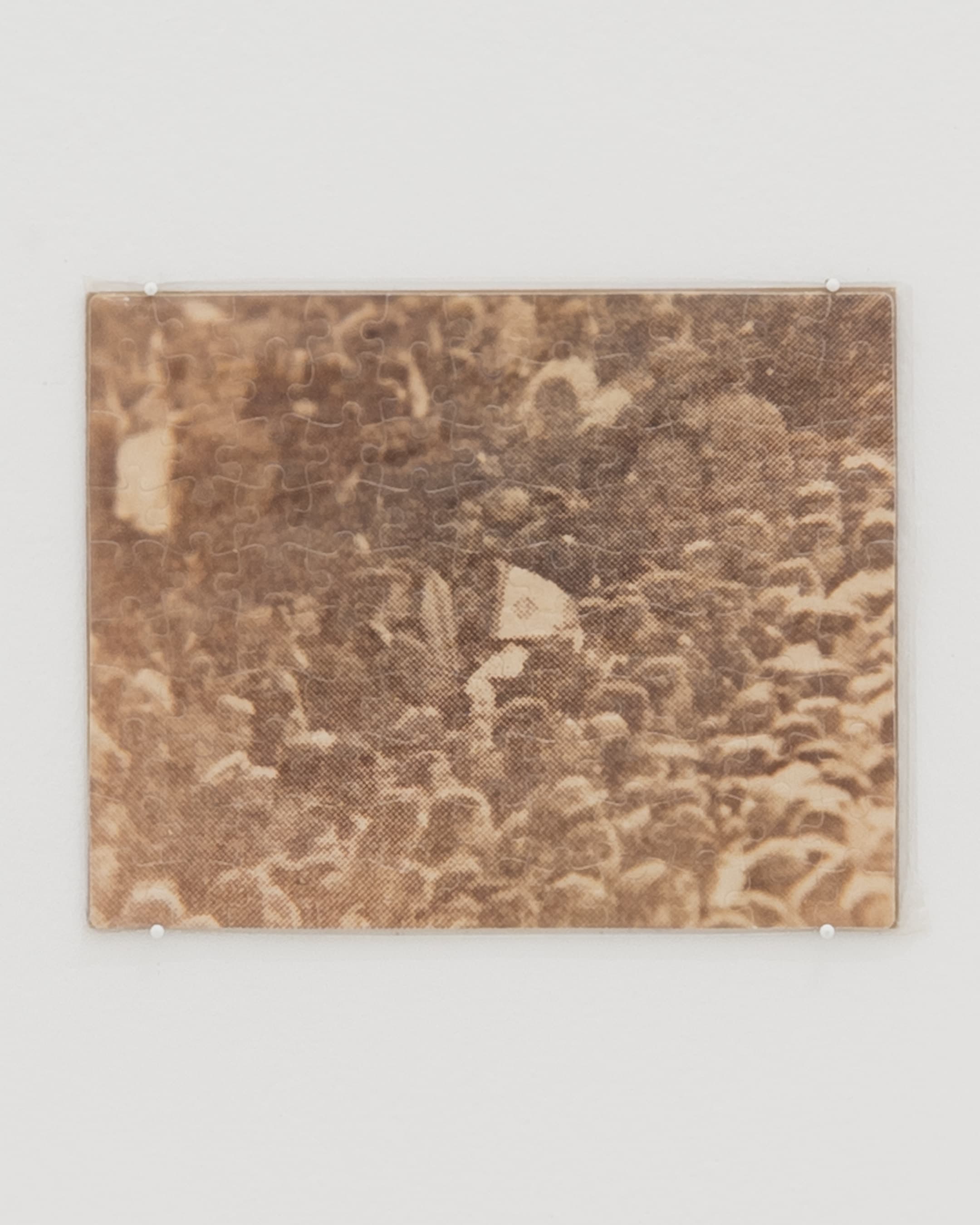 Felix Gonzalez-Torres — Sweet Revenge — image 1 of 3