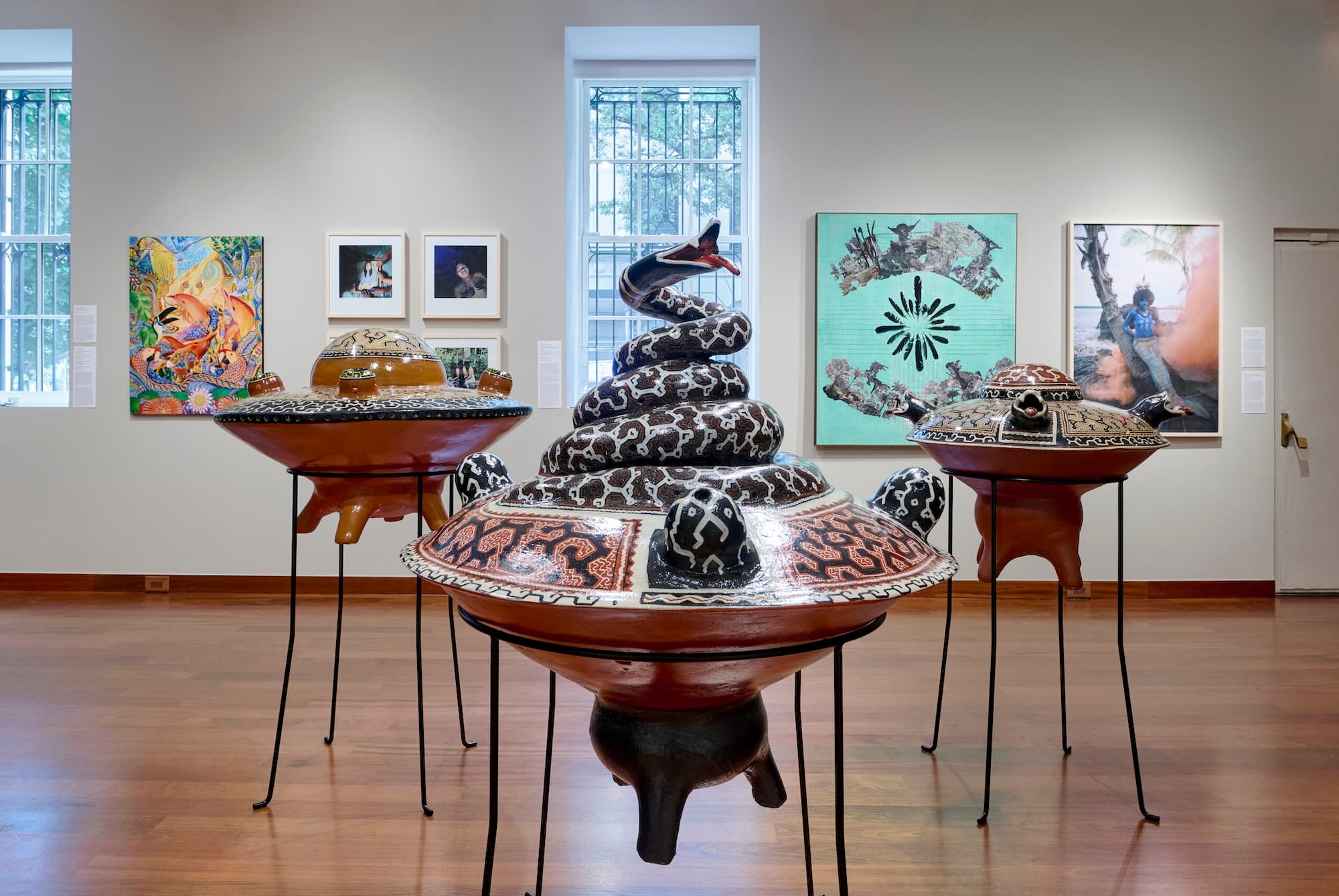 Group Exhibition — Amazonia Açu — image 9 of 12