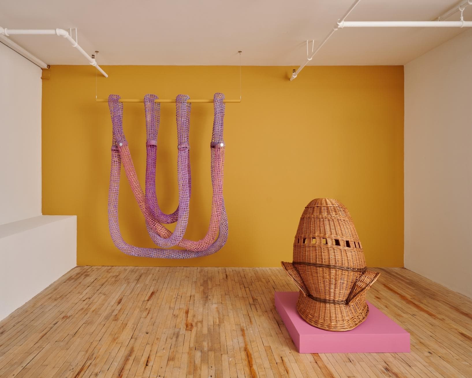 Shared Ground - Image 3