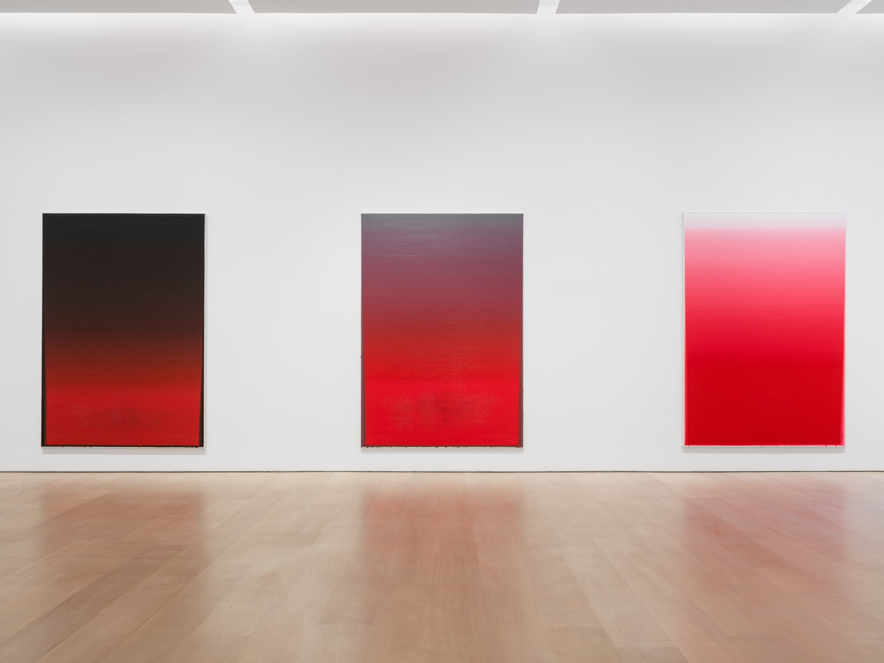 Wang Guangle — Delayed Gravity — image 7 of 8