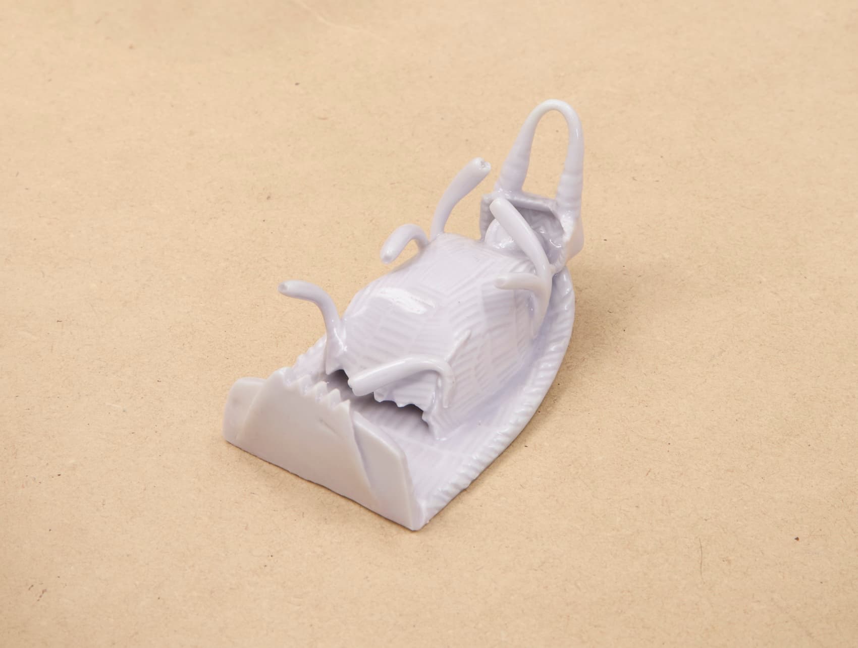 Yage Wang — Lie Low — image 5 of 12