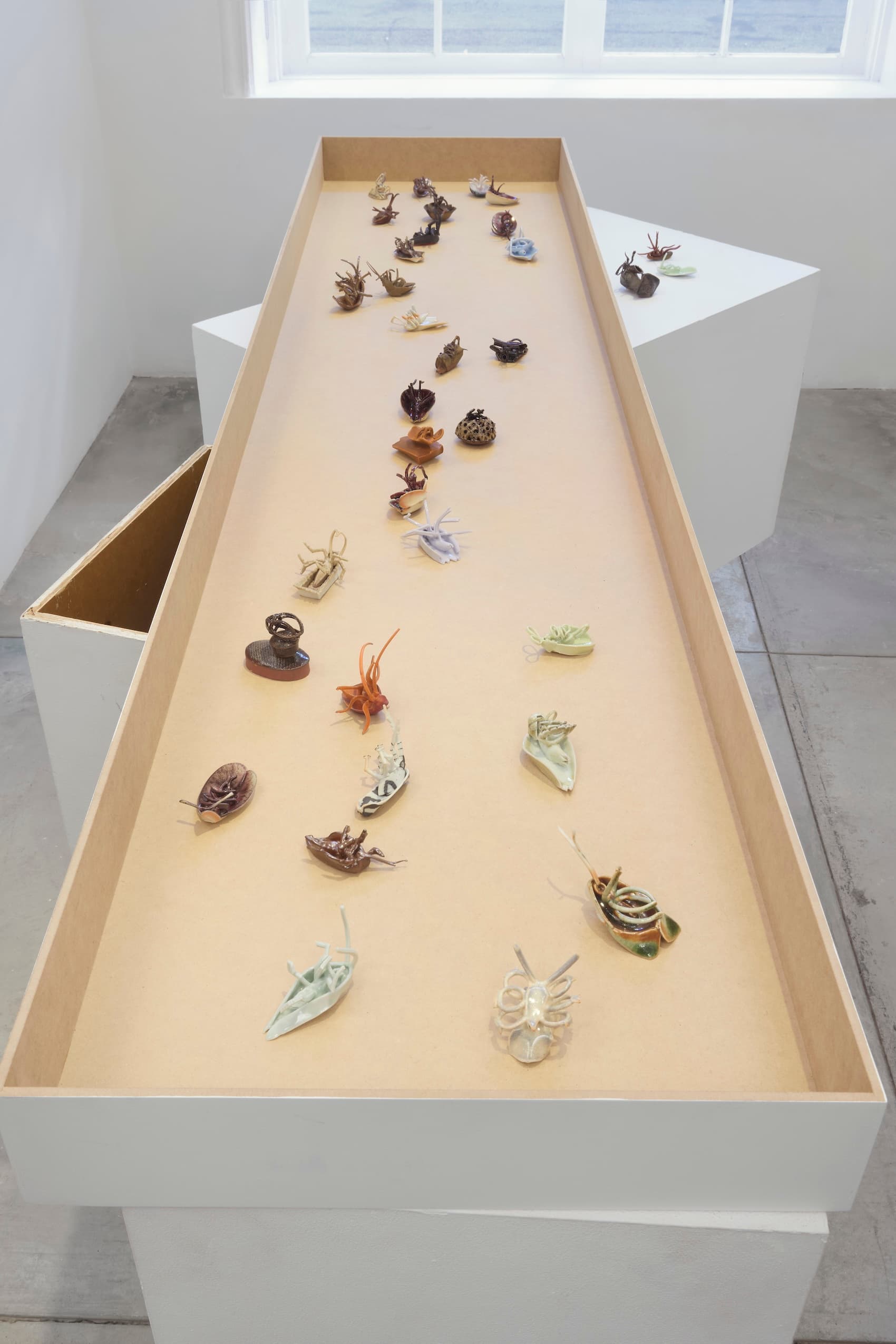Yage Wang — Lie Low — image 10 of 12