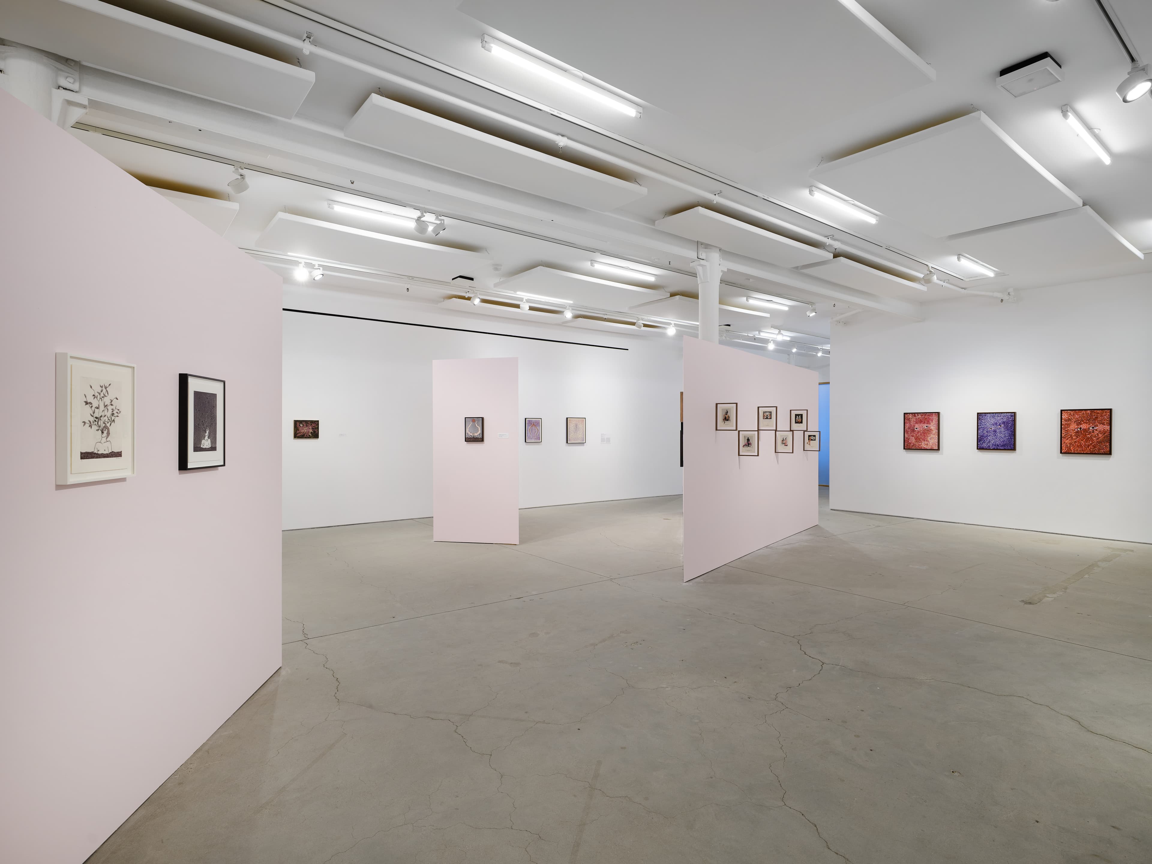 Felipe Baeza — Anima — image 1 of 2