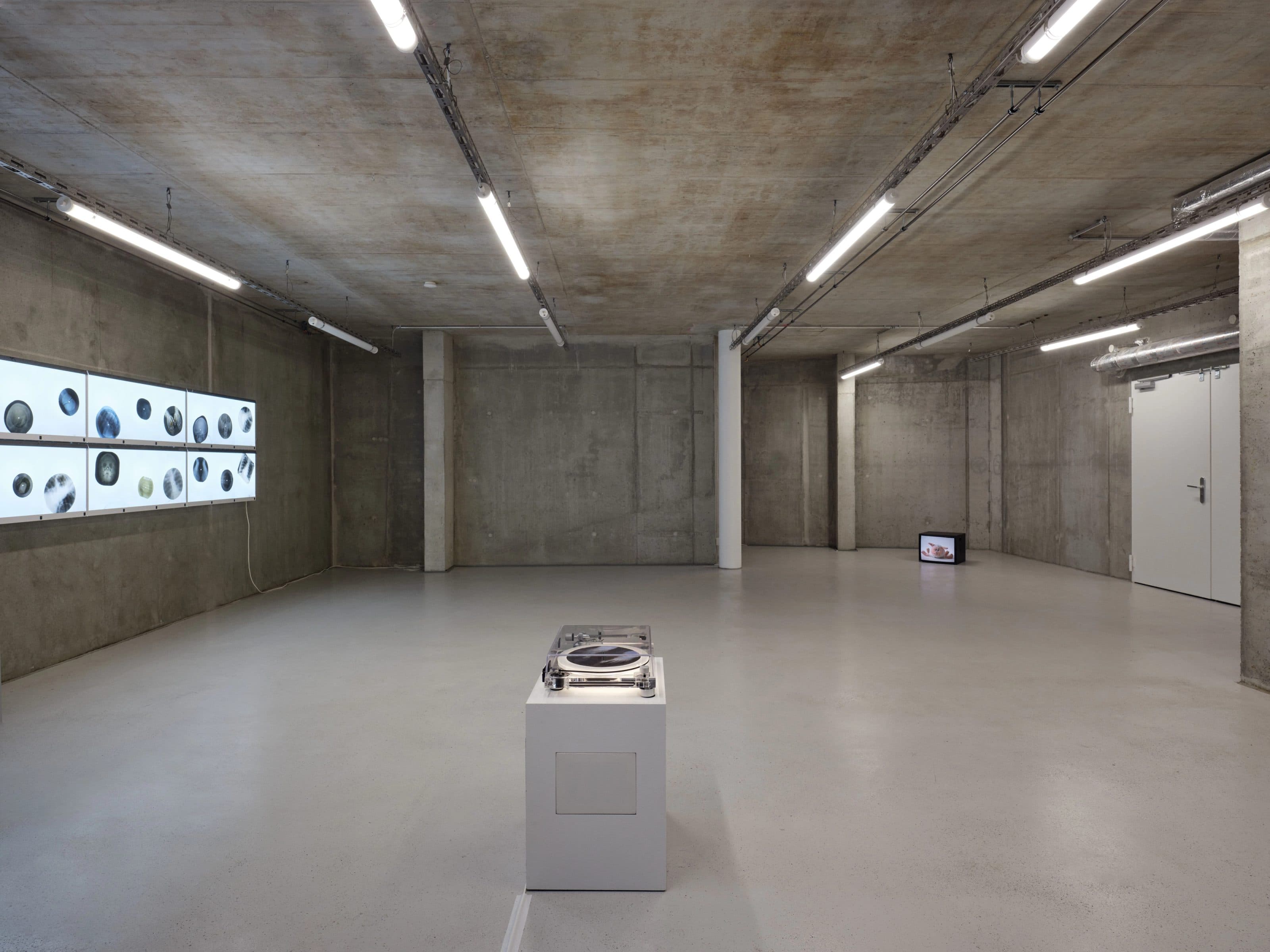 Anna Jermolaewa — You Can Count on Me — image 2 of 5