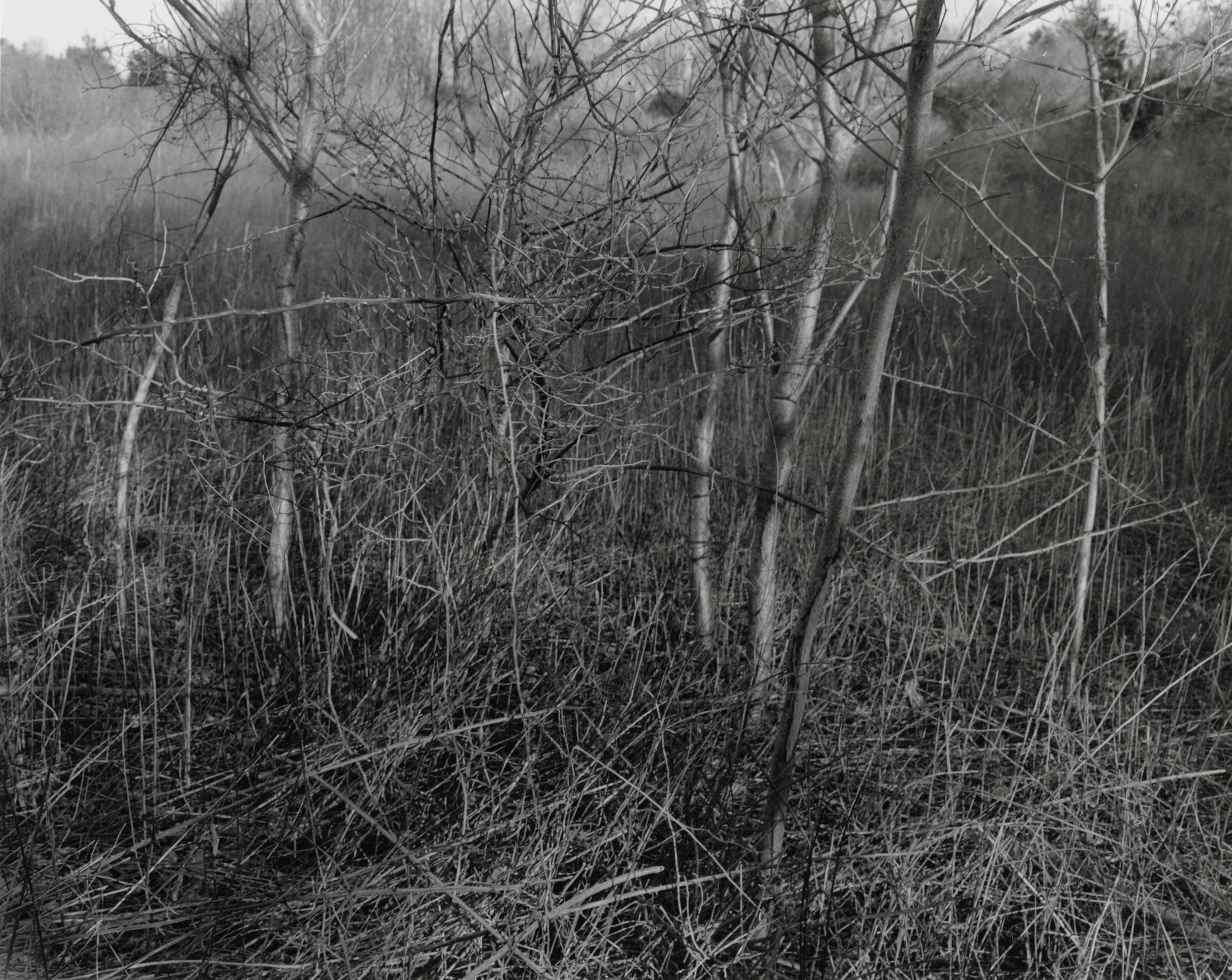 J.B. Morton — Angle of Incidence