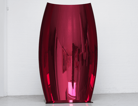 Anish Kapoor — Anish Kapoor — image 3 of 3