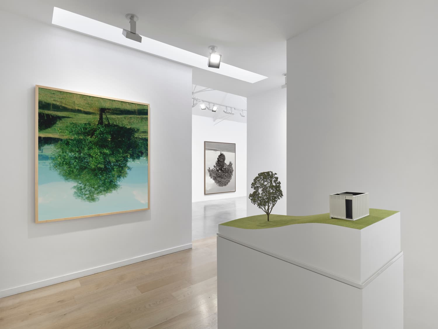Rodney Graham — Who Does Not Love a Tree? — image 3 of 4