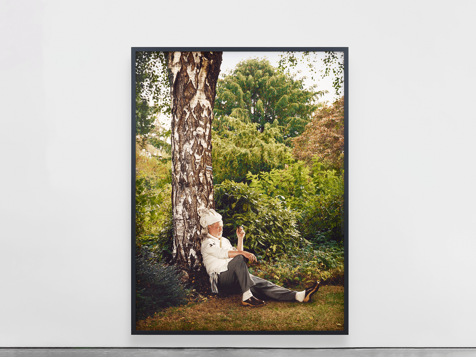 Rodney Graham — Who Does Not Love a Tree? — image 4 of 4