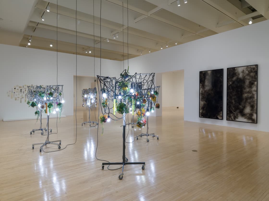 Group Exhibition — Diary of Flowers: Artists and Their Worlds — image 6 of 8