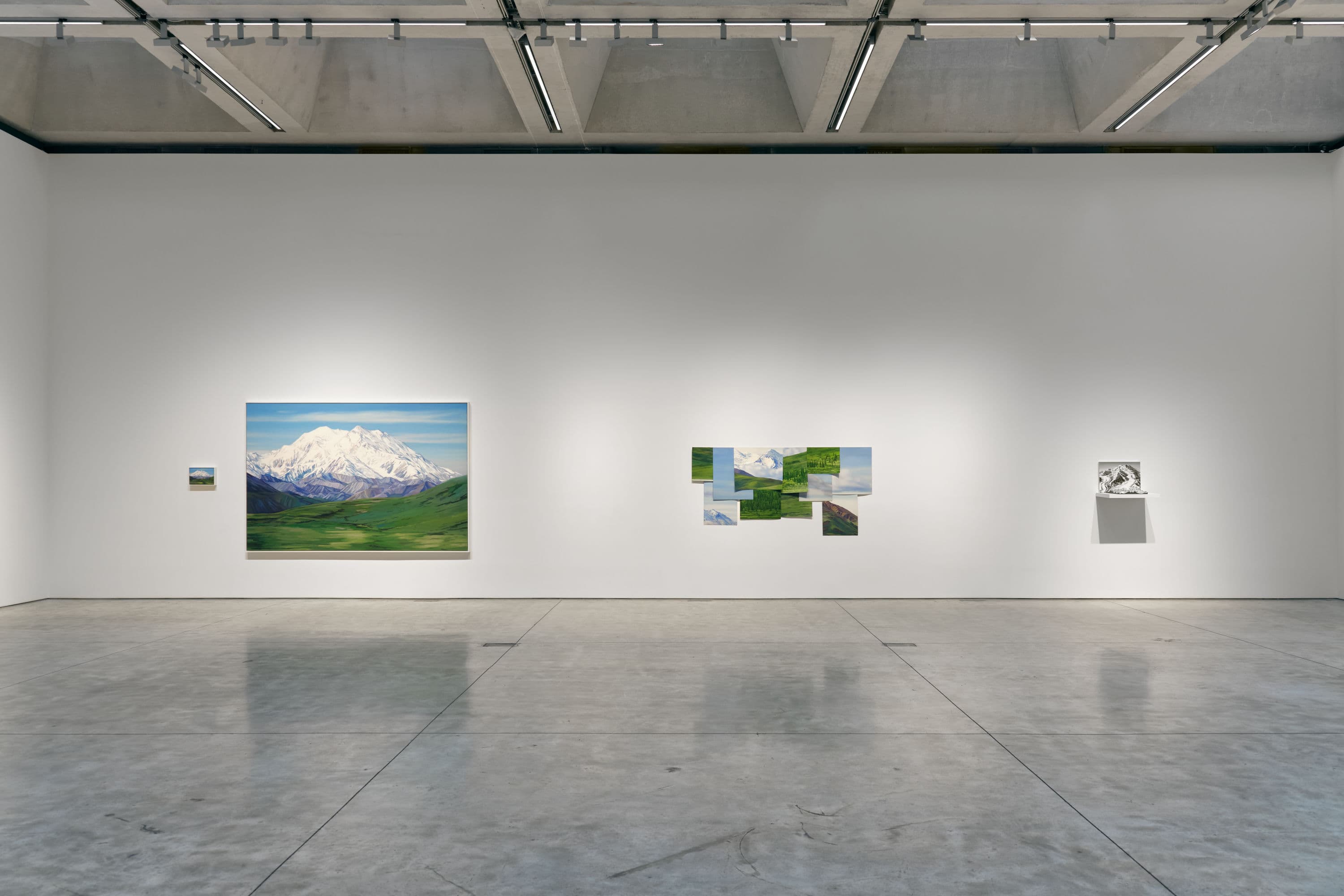Cynthia Daignault — Denali — image 3 of 9