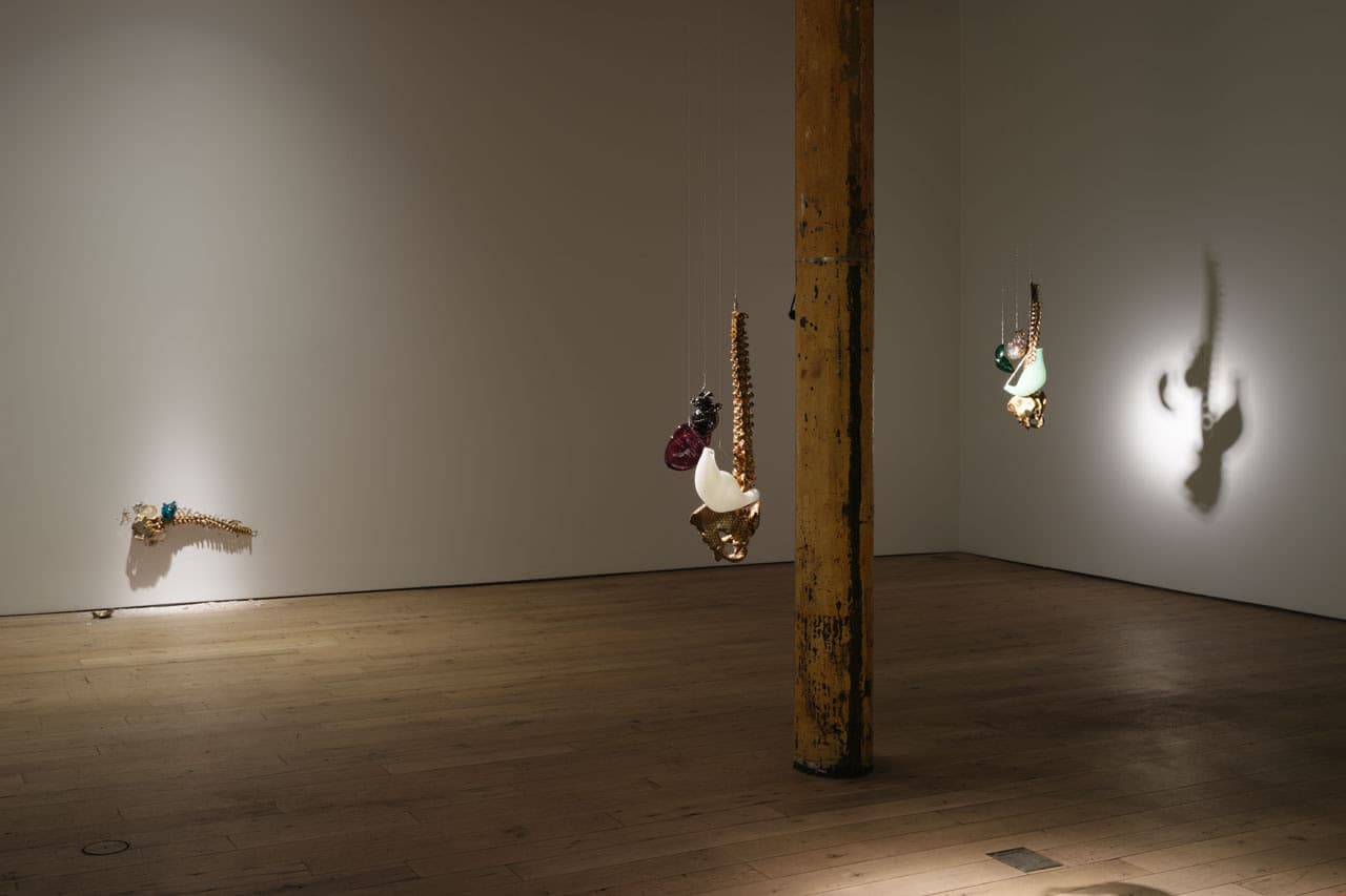 Andisheh Avini — All of You — image 2 of 3