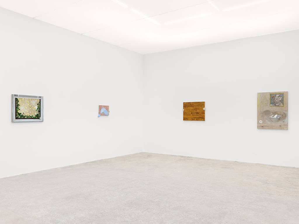 Siobhan Liddell — Dusk — image 2 of 3