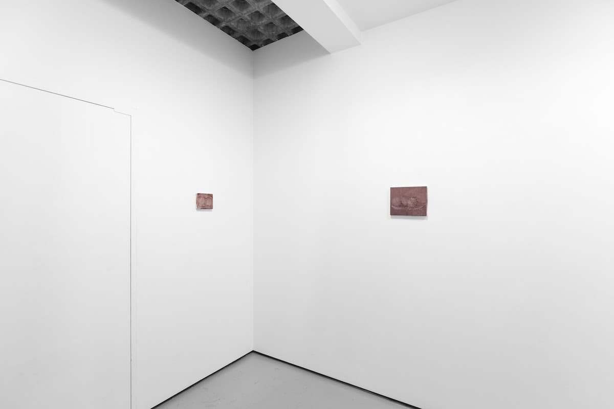 Marta Ravasi — Focus — image 3 of 3