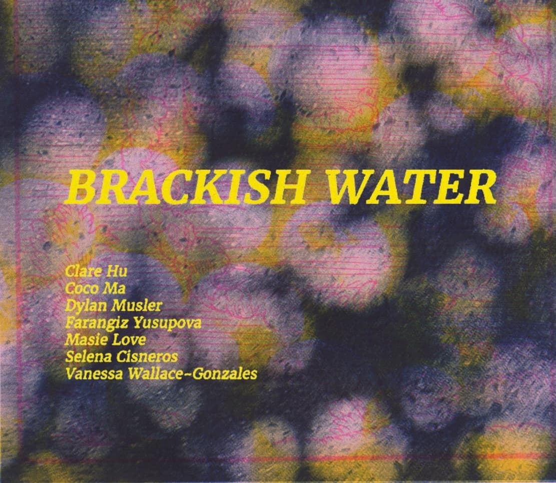 Group Exhibition — Brackish Water: Hunter College MFA Thesis Exhibition, Part I