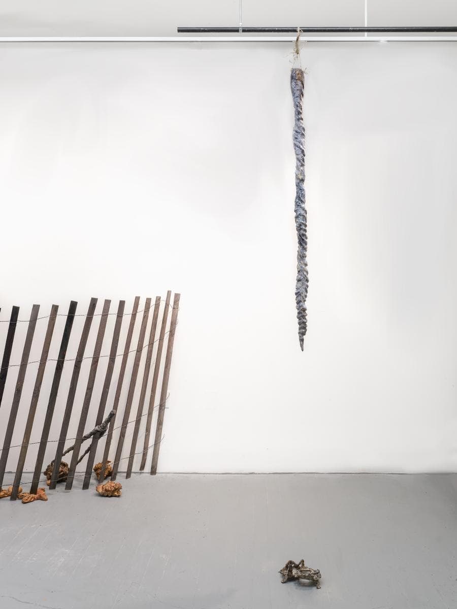 Echo Yan & Cass Yao — Feeding the Load, Regulated Dosage — image 1 of 5