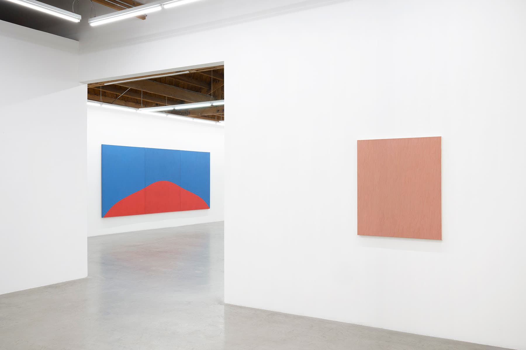 Marcia Hafif — Experience of Being — image 1 of 3
