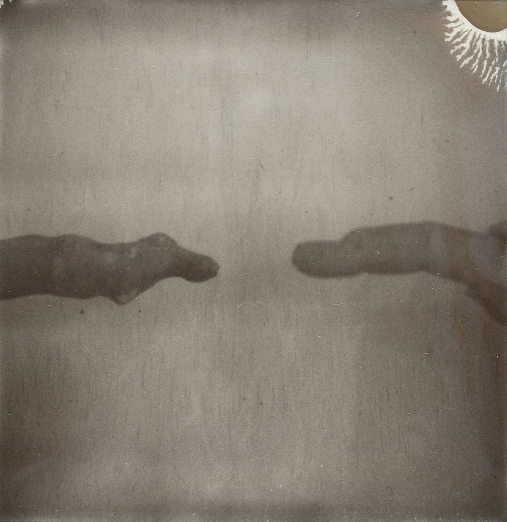 Tacita Dean — Trial of the Finger