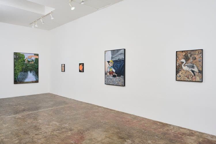 Daniel Ingroff — Siphoning — image 1 of 2