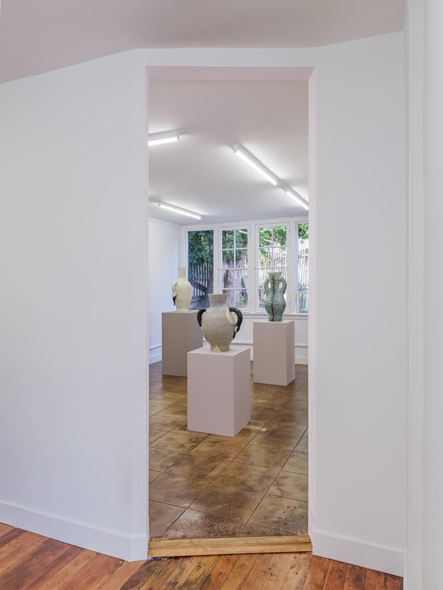 Peter Schlesinger — Peter Schlesinger — image 3 of 6