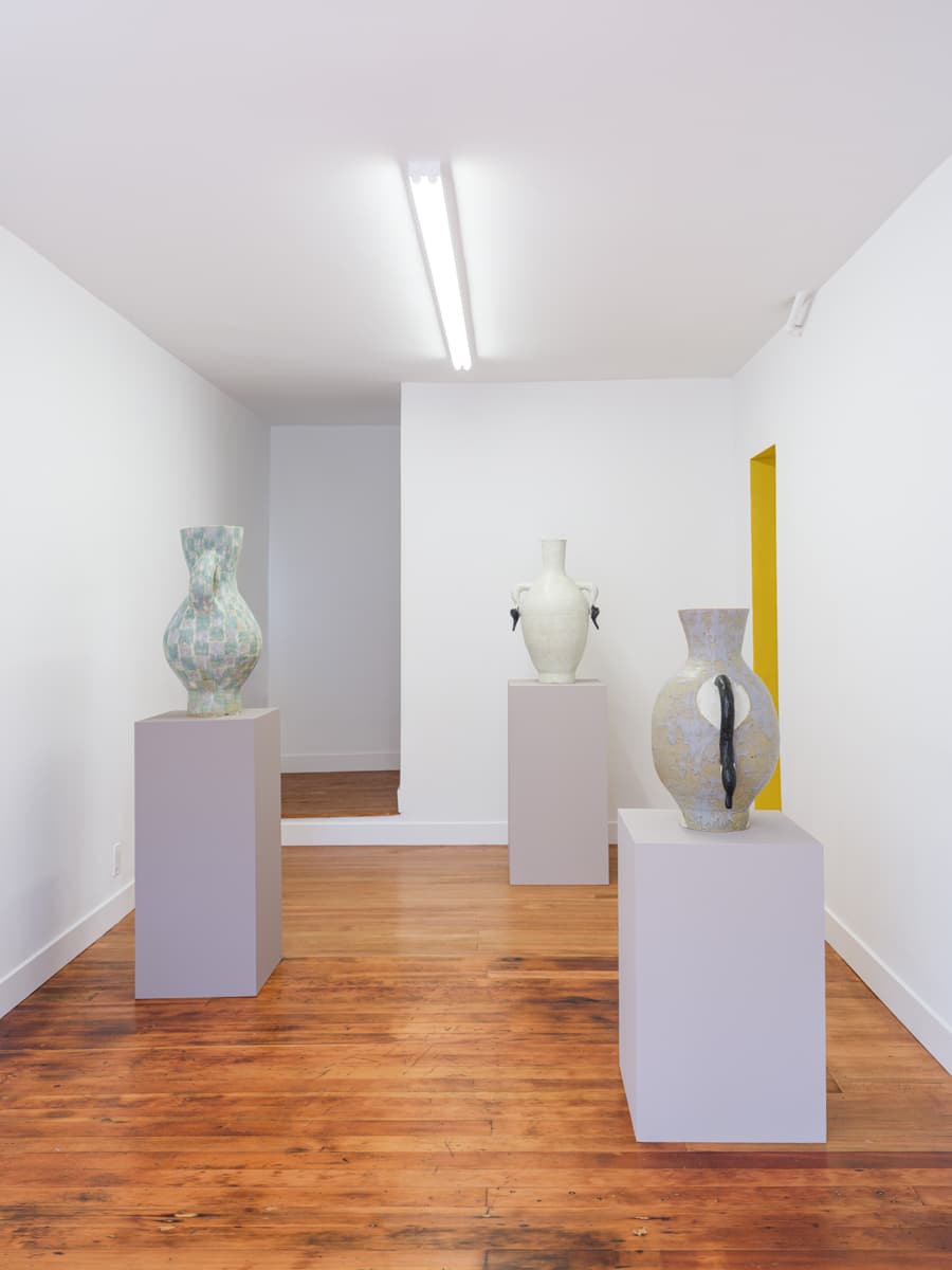 Peter Schlesinger — Peter Schlesinger — image 4 of 6