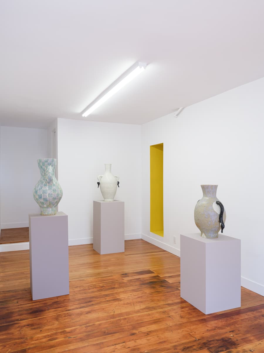 Peter Schlesinger — Peter Schlesinger — image 5 of 6