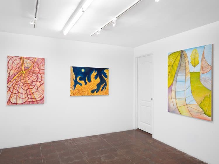 Annabel Osberg — Unexplained Phenomenon — image 1 of 2