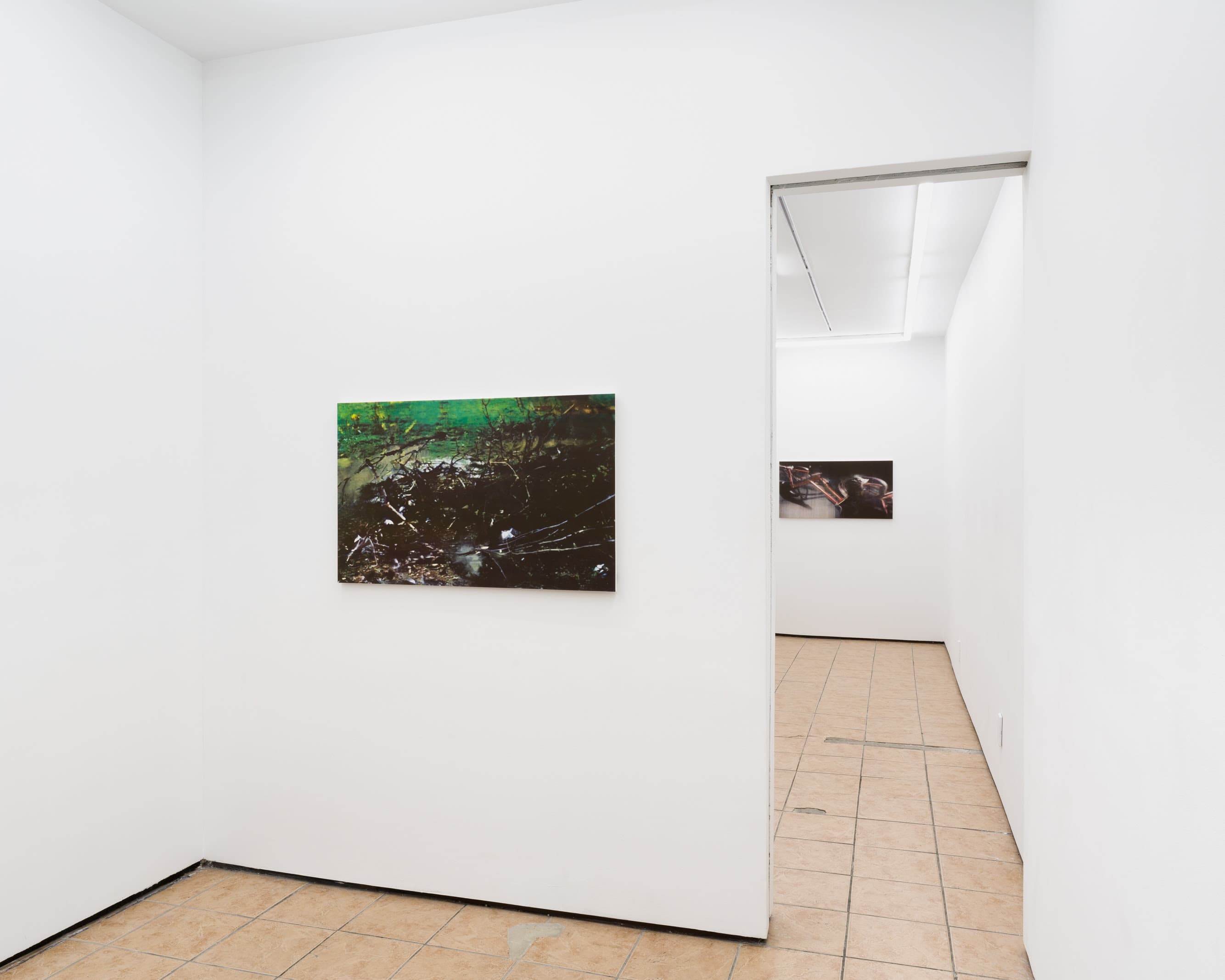 Noémie Degen & Simon Jaton — Iris — image 1 of 2