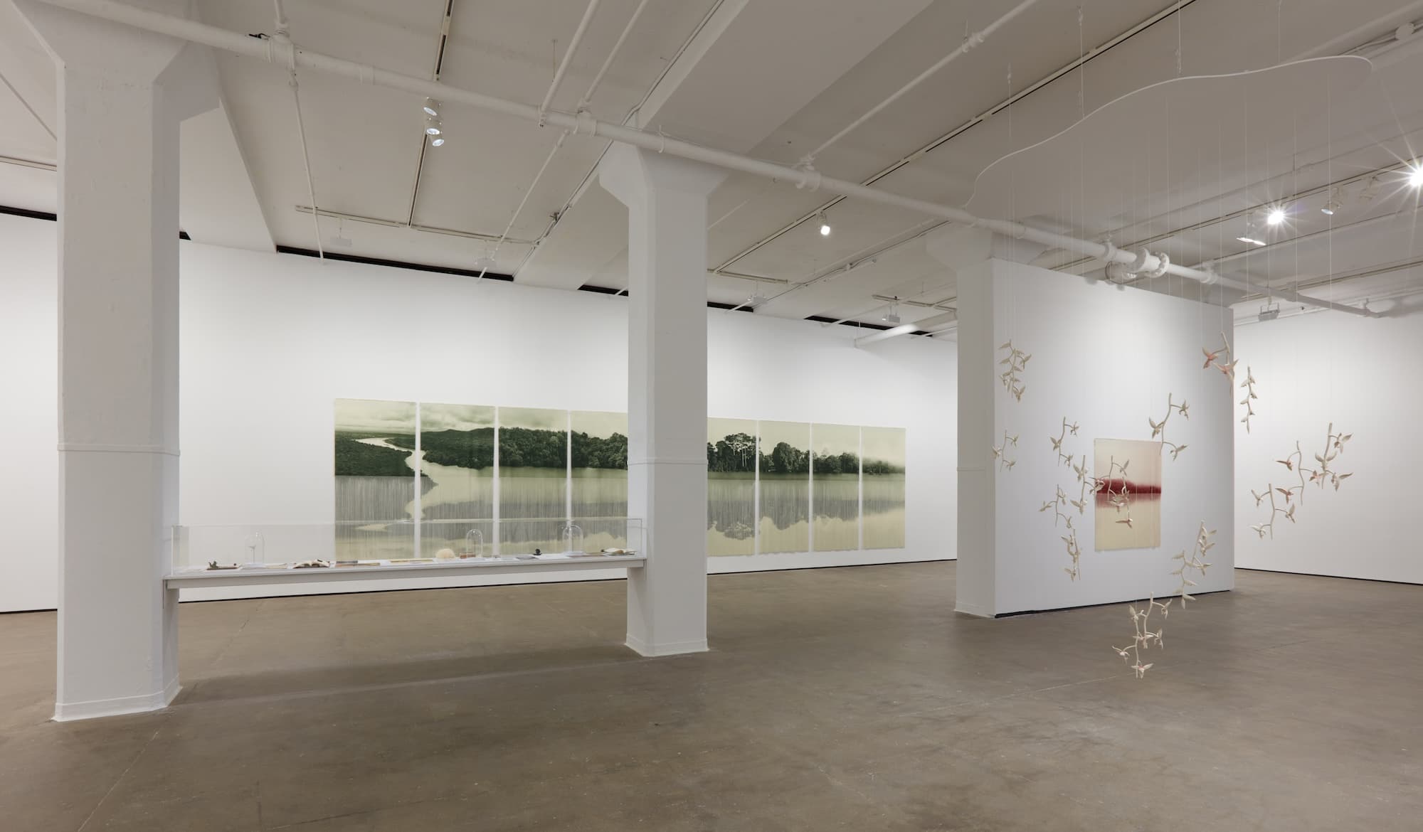 Ana González — Río — image 6 of 8