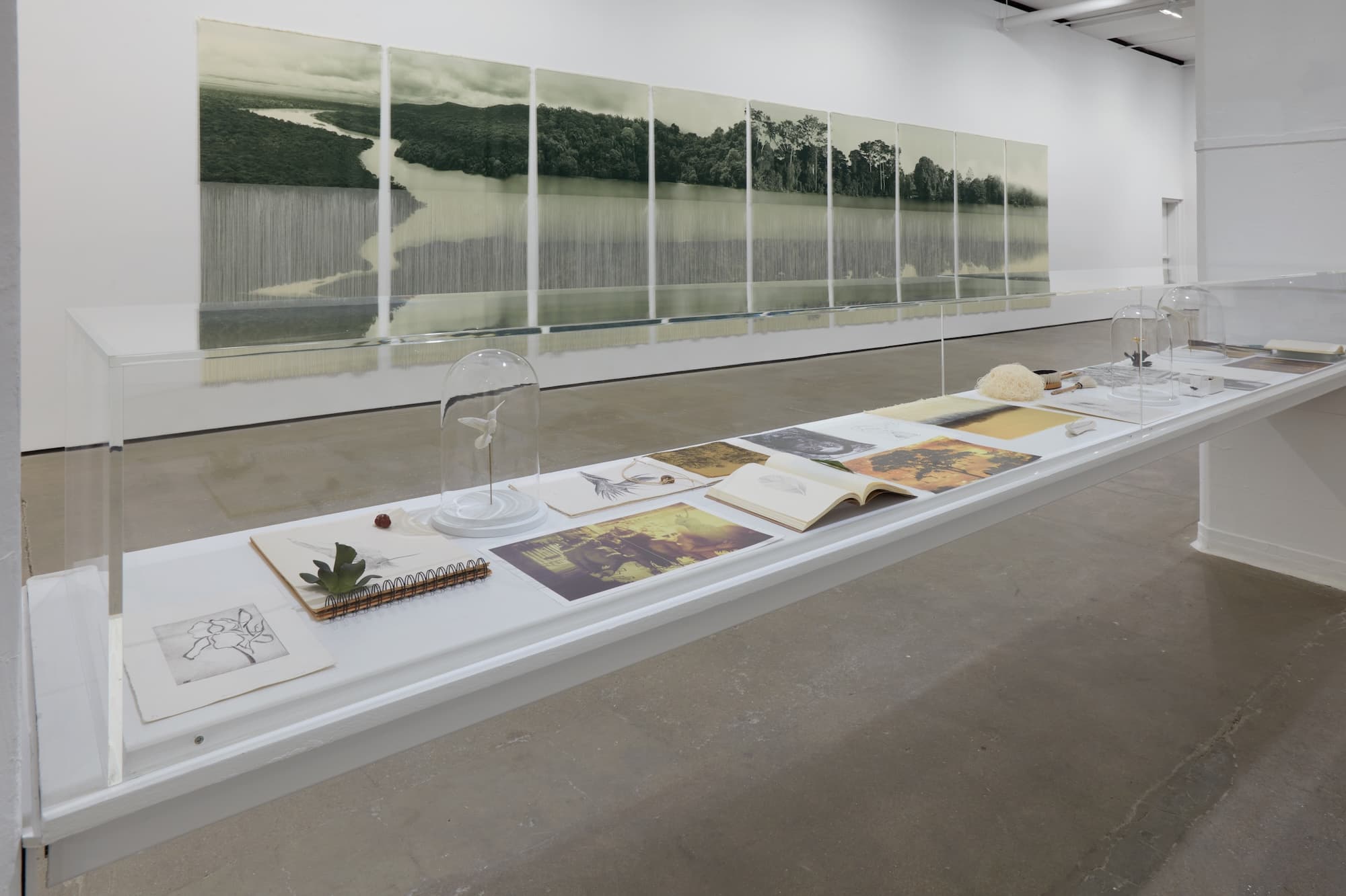 Ana González — Río — image 7 of 8
