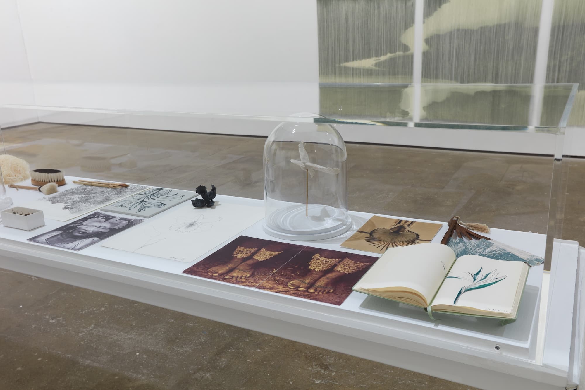 Ana González — Río — image 8 of 8