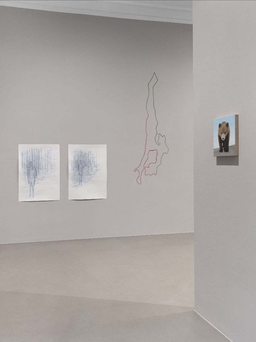 Rodrigo Hernández — The Long Pond — image 3 of 3