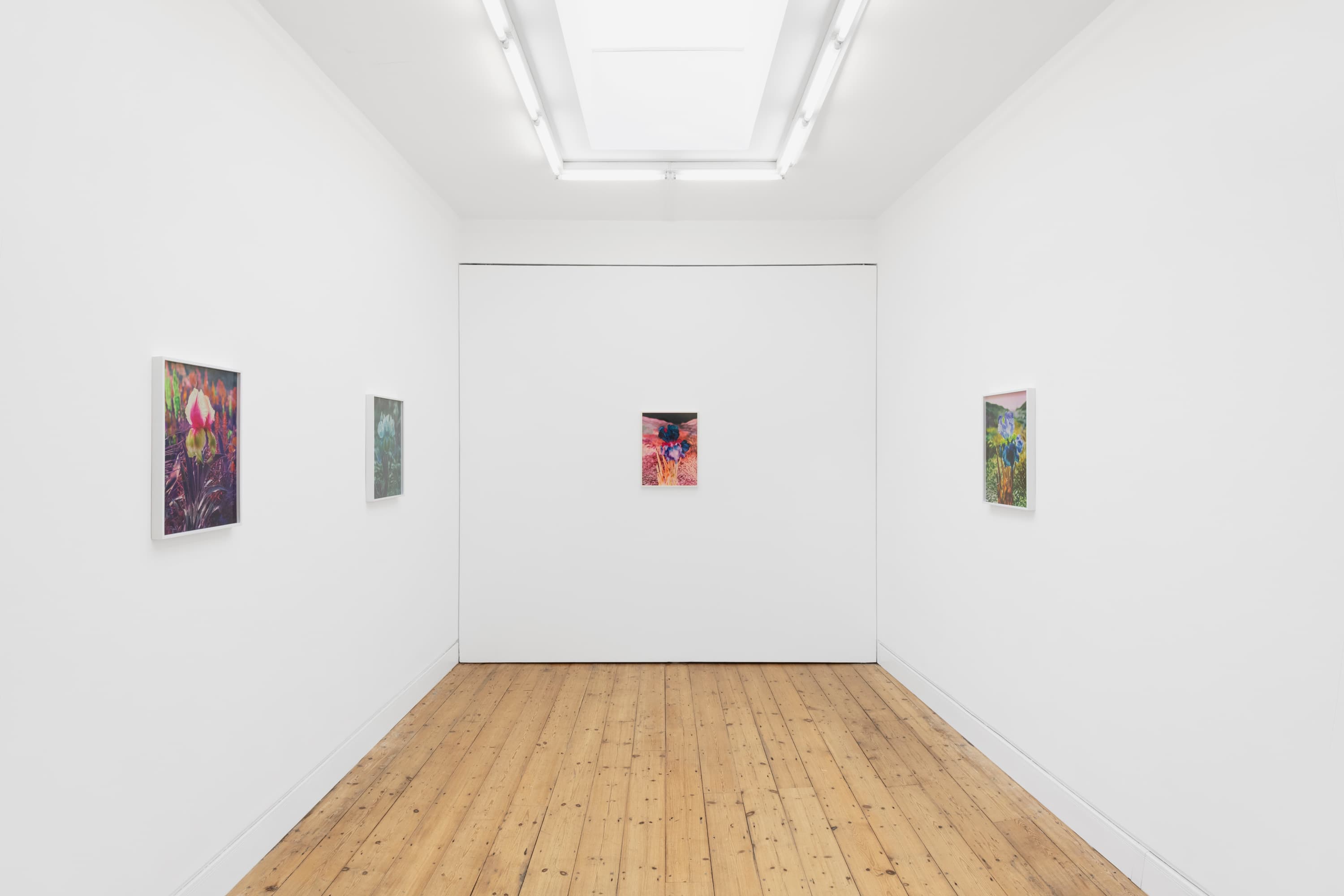 Lisa Oppenheim — Portraits/Hybrids — image 1 of 7