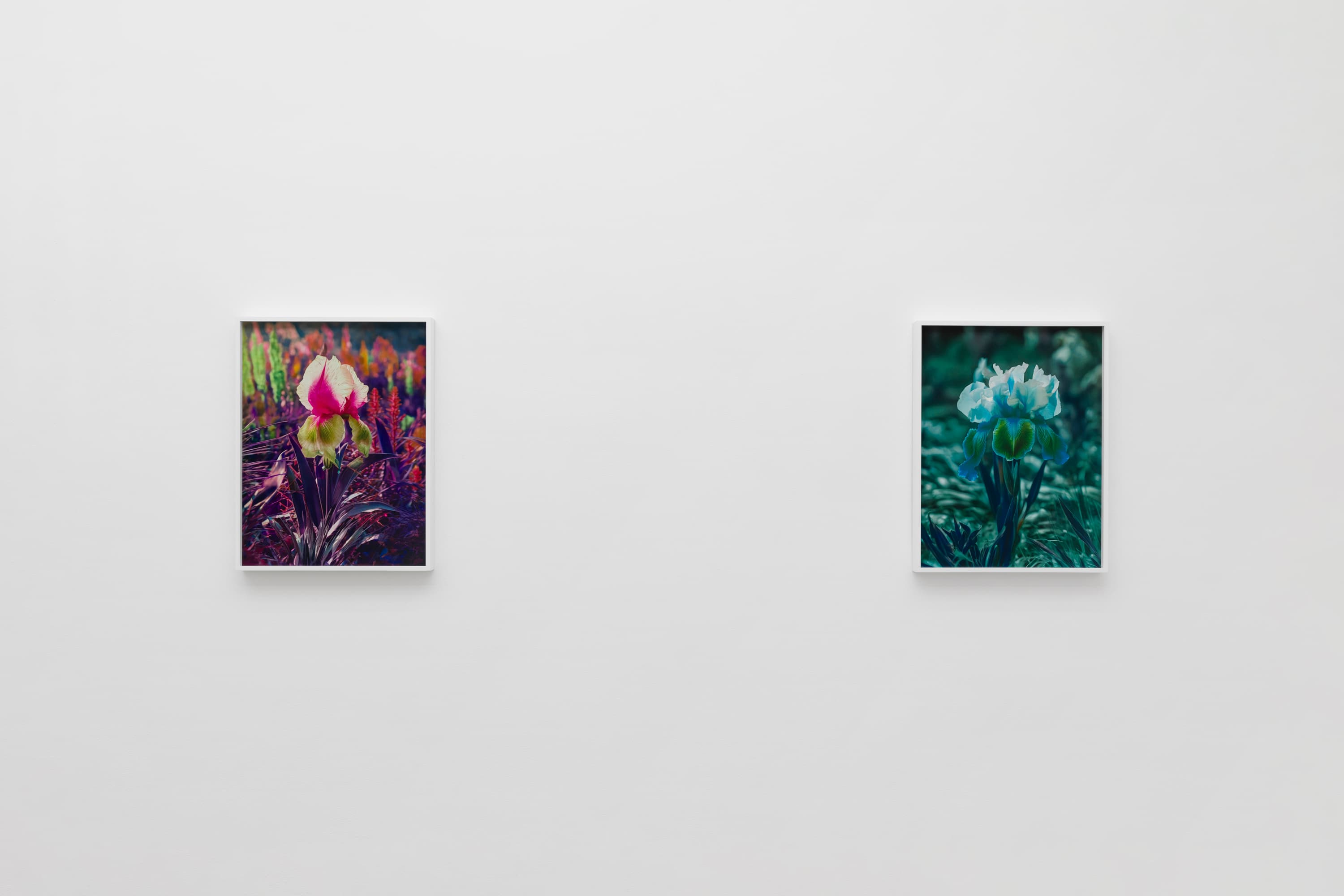 Lisa Oppenheim — Portraits/Hybrids — image 2 of 7