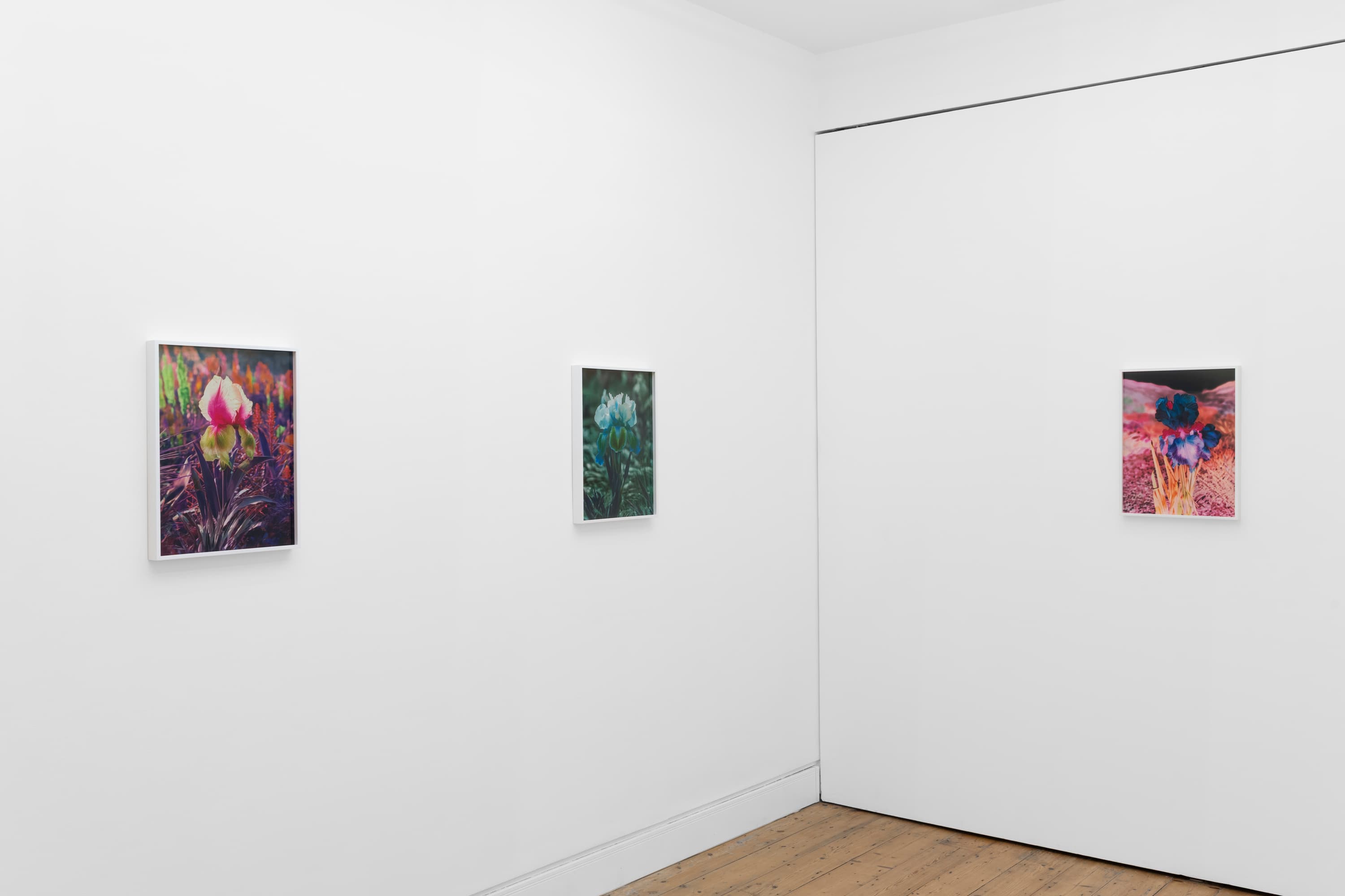 Lisa Oppenheim — Portraits/Hybrids — image 3 of 7
