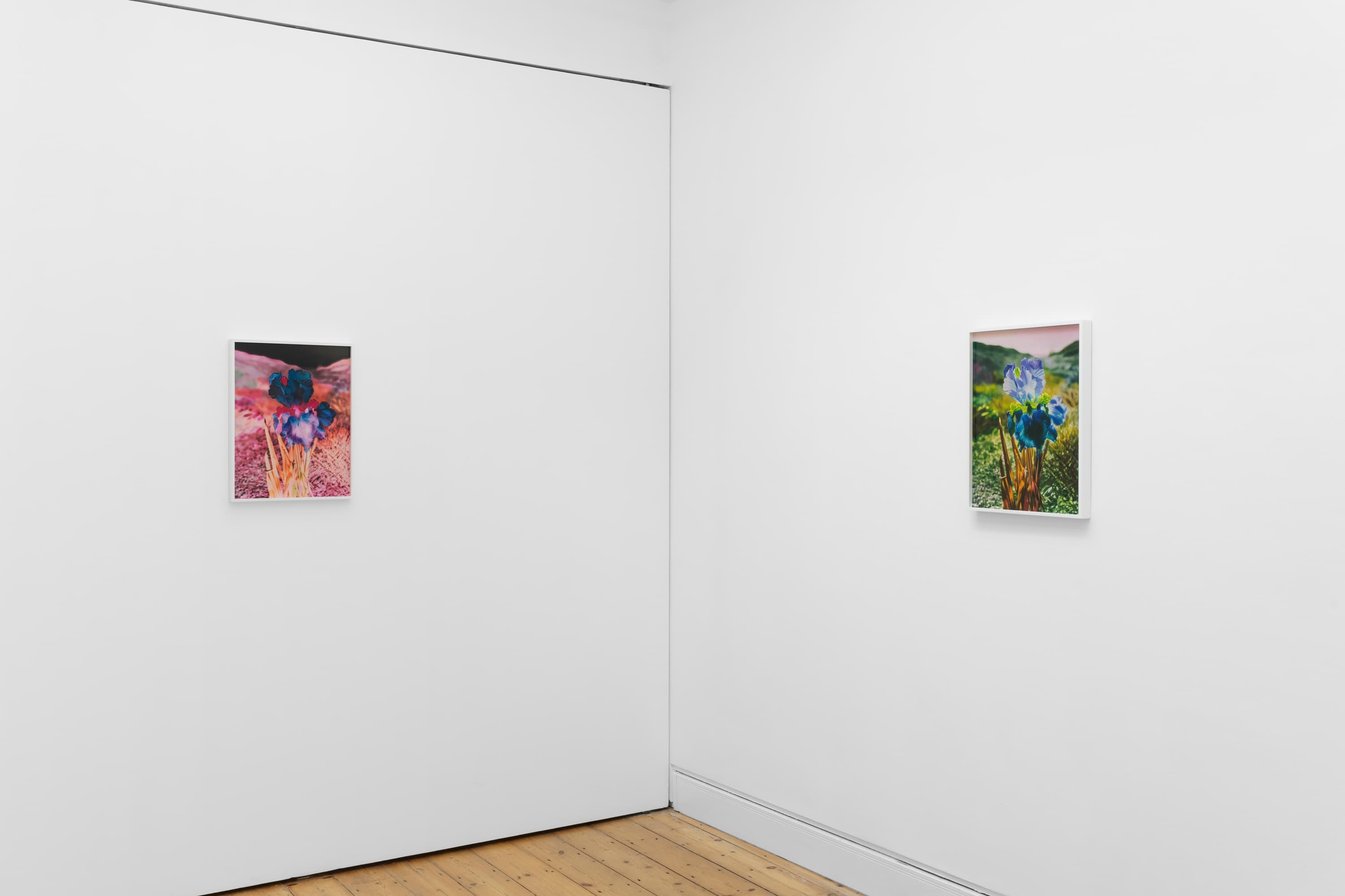 Lisa Oppenheim — Portraits/Hybrids — image 4 of 7